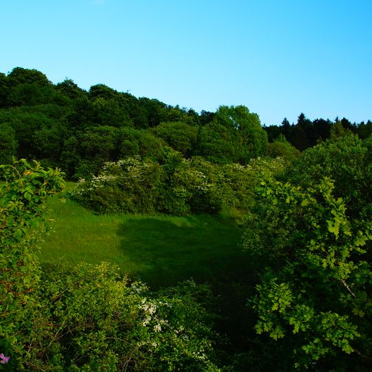 Kalksteinbruch und Halbtrockenrasen am Eich-Berg bei Hemkenrode