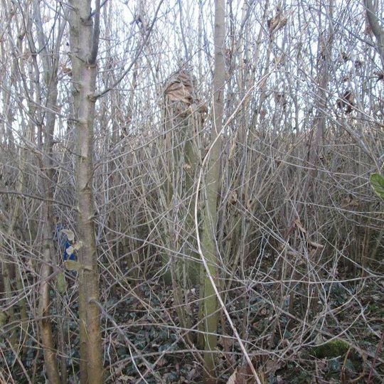 Kříž severně od Třebnic
