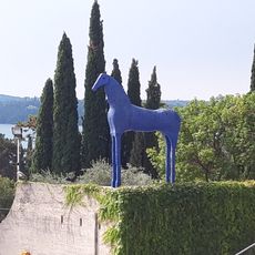Cavallo blu