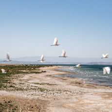 State ornithological wildlife sanctuary "Arnasay"