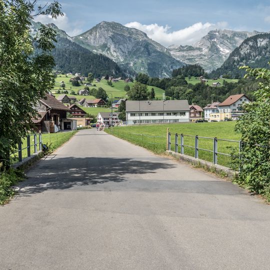 Frühweidstrasse-Brücke