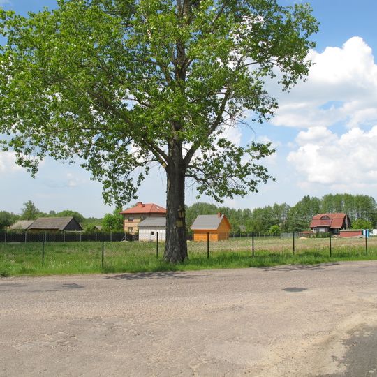 Niewodnica Nargilewska