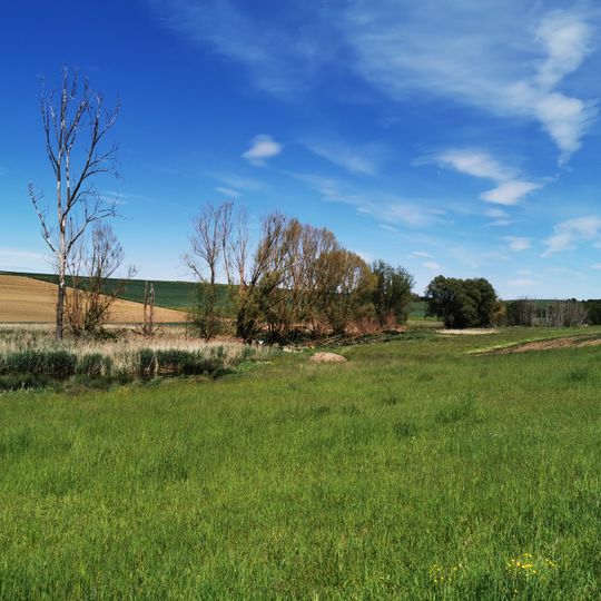 Naturdenkmal Feuchtgebiet Ried