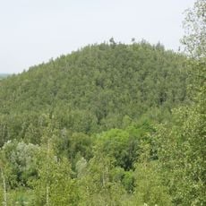 Forest of Arenberg