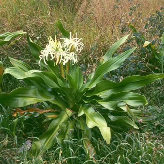 Parco nazionale di Preah Monivong