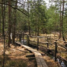 Naturpark Heidenreichsteiner Moor