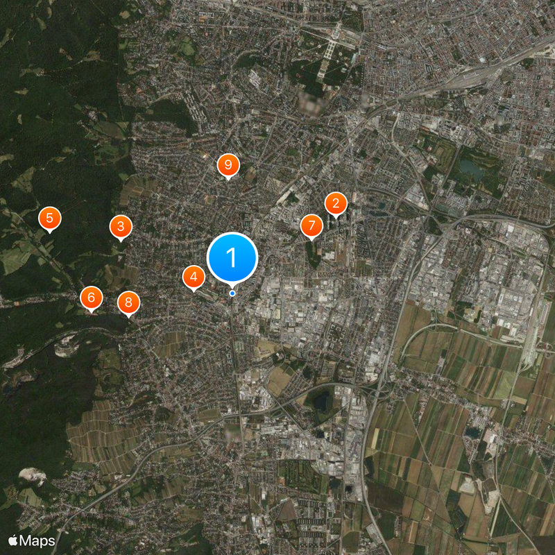 Liesing Map