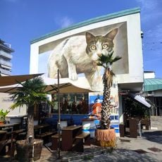 Gatto ittico