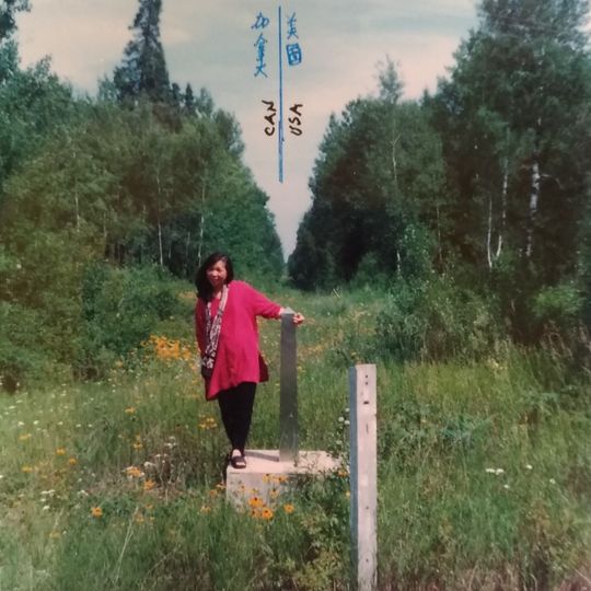 Contea di Lake of the Woods