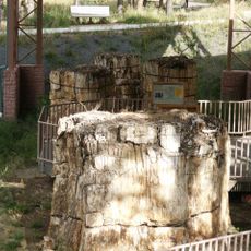 Florissant Fossil Beds National Monument