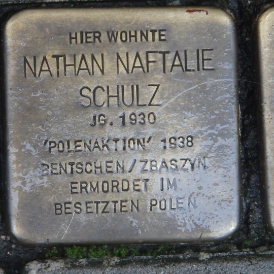 Stolperstein en memoria de Nathan Naftalie Schulz