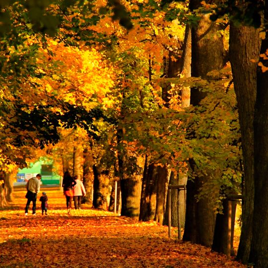 Alej u minerálního pramene