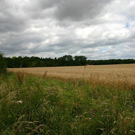 Trundley and Wadgell's Wood, Great Thurlow
