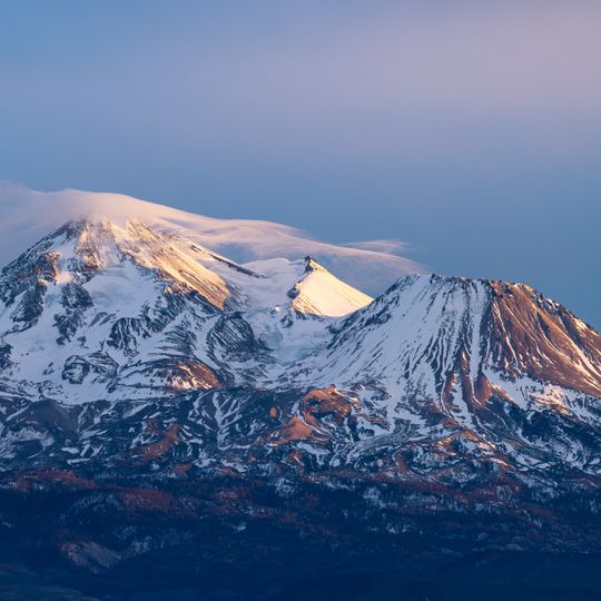 Monte Shasta