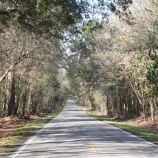 South Carolina Highway 61