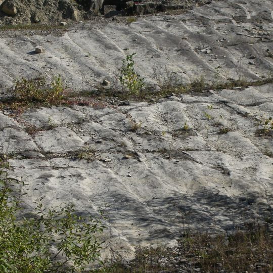 Lithified ripple marks