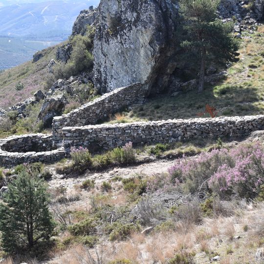 Foxo do lobo de Pedroso