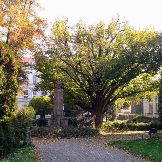 Turecká líska ve Smetanových sadech