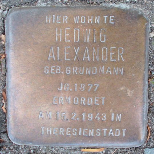 Stolperstein dedicated to Hedwig Alexander
