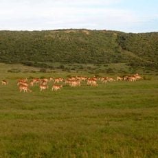 Shamwari Private Game Reserve