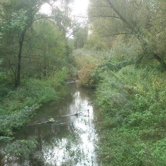 NSG Urdenbacher Altrhein und Baumberger Aue <D>