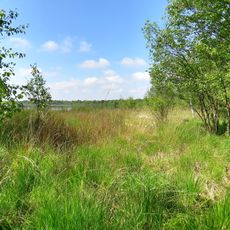 Bülter See und Randmoore