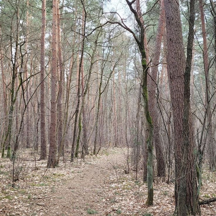 Chojnów Landscape Park