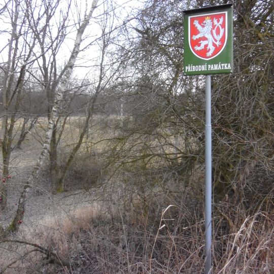 Natural monument Čtvrtky za Bořím