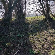 Cranborne Chase