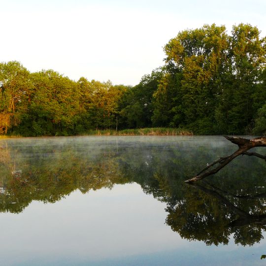Denkendorfer Erlachsee