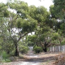 Reserva natural de Ocean Grove