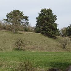 Halbtrockenrasen Muld