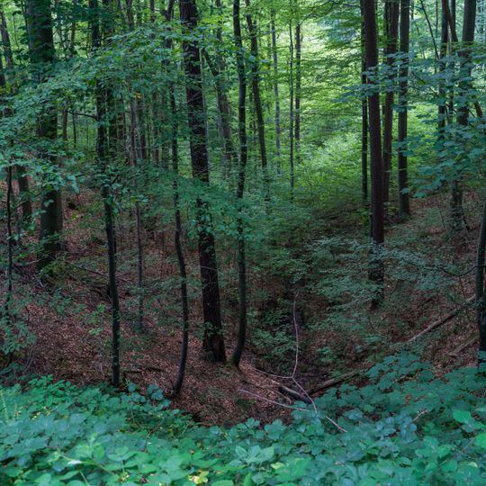 Quelle m.Kalksinterbildung u.anschließender Klinge