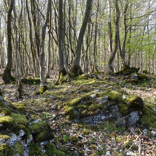 Trimberg bei Reichensachsen