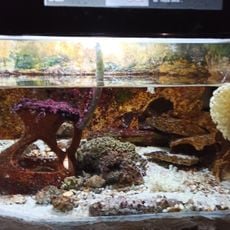 Aquarium of Rhodes