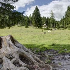 Tscherniheim