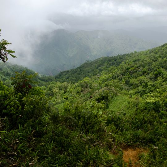 Parc national du Grand Bois
