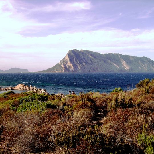 Réserve marine de Tavolara - Punta Coda Cavallo