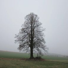 Kříž východně od Strměch směrem k Pálence