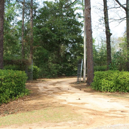 Stephen Beech Cleveland House