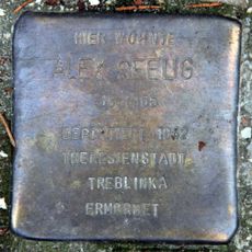 Alex Seelig