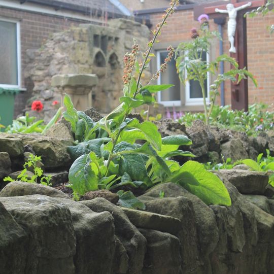 Ruined Walls To East Of Roman Catholic Church Of Sacred Heart And St Cuthbert