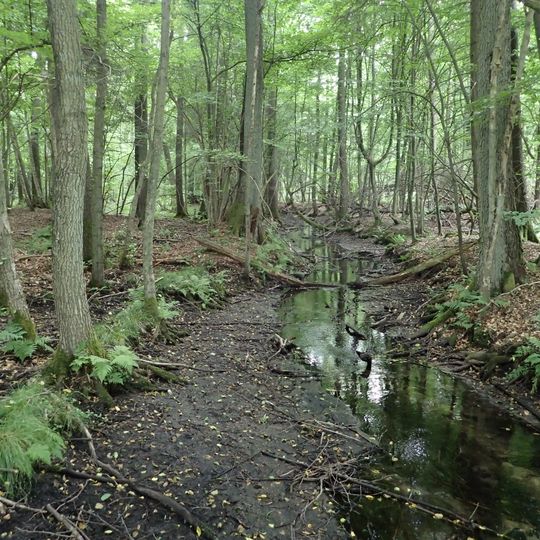 Barlinek-Gorzów Landscape Park