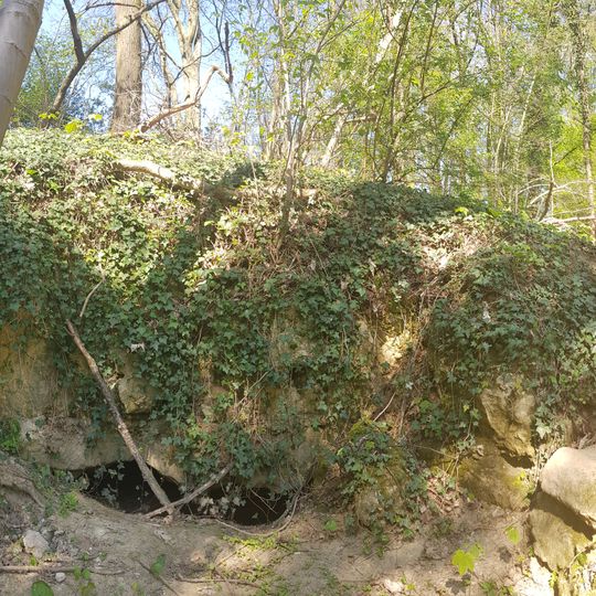 Groeve Essenbosch IV