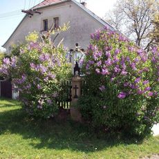 Kříž v Ledcích na křižovatce u stavení č. p. 135