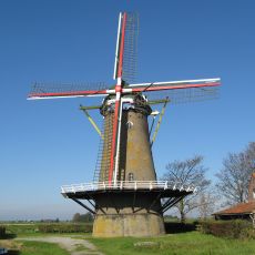De Korenbloem