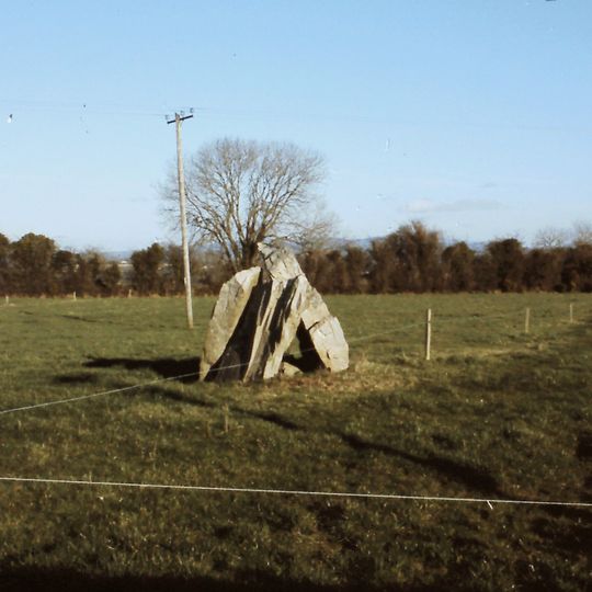 Portal Tomb von Newmarket