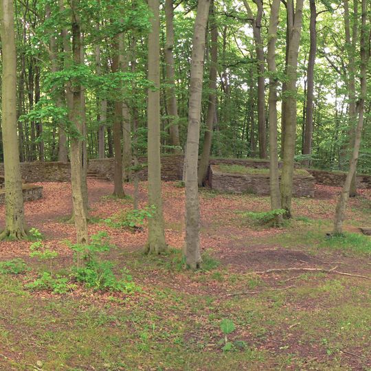 Hünenburg Hohenrode