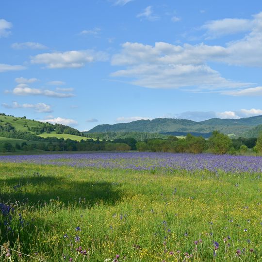 Rezerwat przyrody Hostovické Lúky