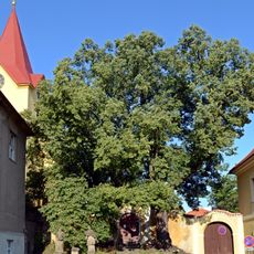 Lípy v Hostivicích